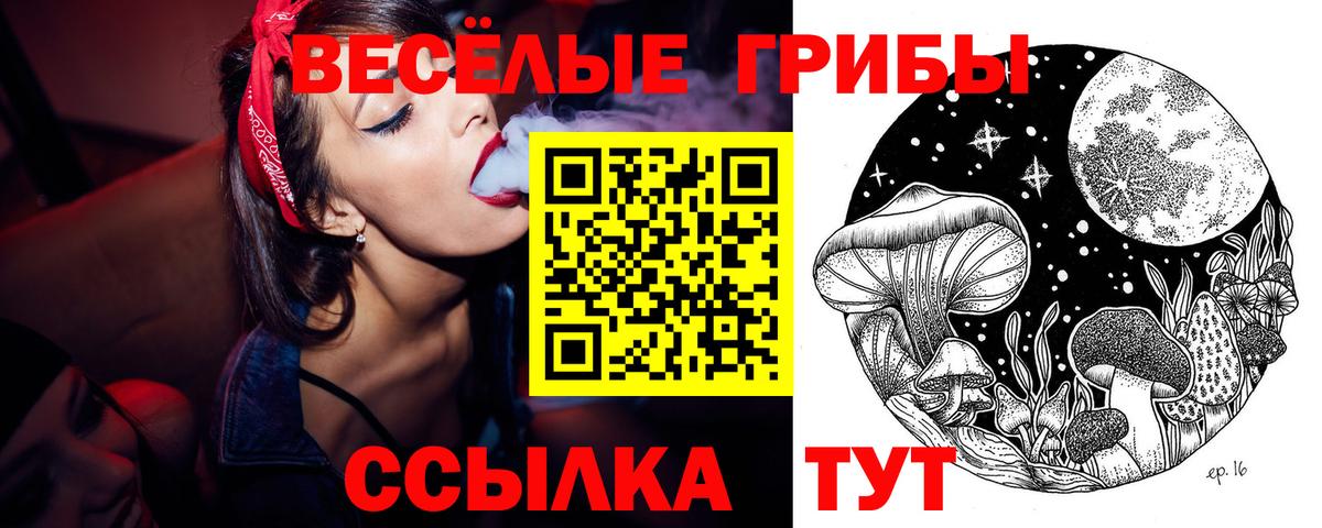 Волхов  купить закладку  Вход с VPN  Псилоцибиновые грибы Psilocybine cubensis  Галлюциногенные грибы Cubensis 