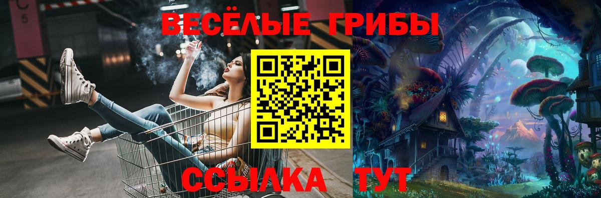 Галлюциногенные грибы Psilocybe Волхов