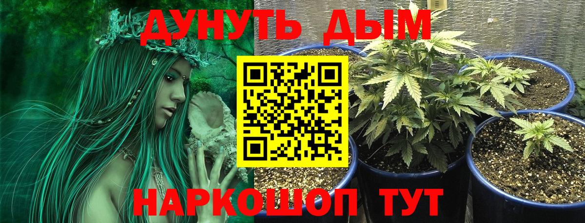 МАРИХУАНА THC 21%  Каннабис Bruce Banner  Каннабис LSD WEED  Волхов  Вход с VPN  Канабис Ganja 